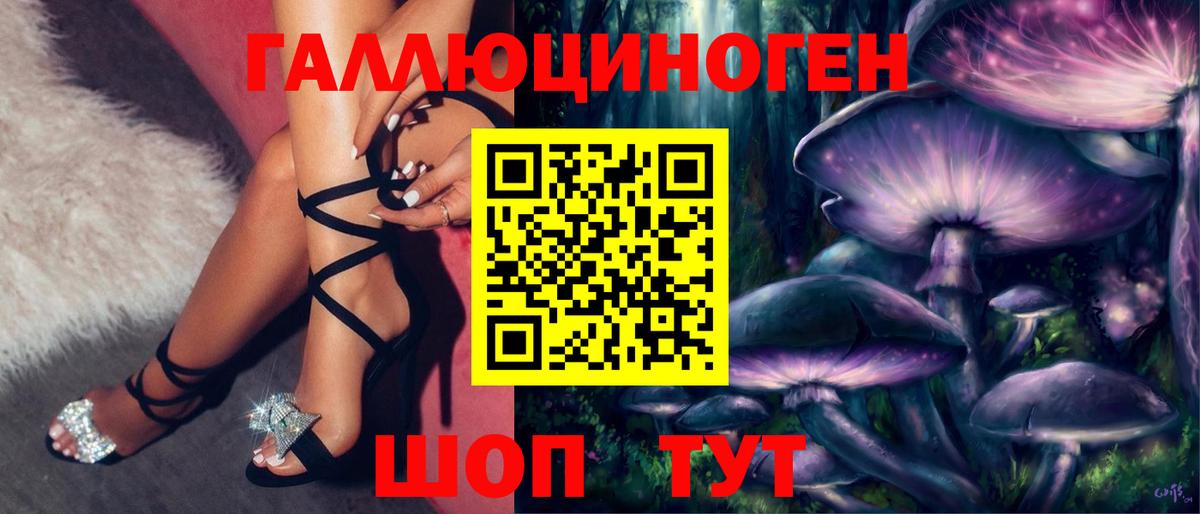 Псилоцибиновые грибы Psilocybe Кинель