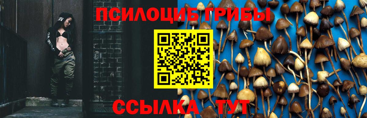 Псилоцибиновые грибы GOLDEN TEACHER  Вход с VPN  Кинель 