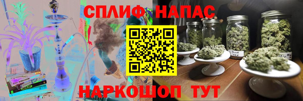 Канабис гибрид Кинель